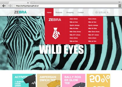 link site zebra 