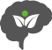 services img